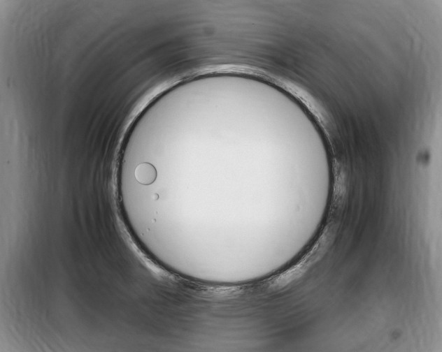 X0000100351282200806060752