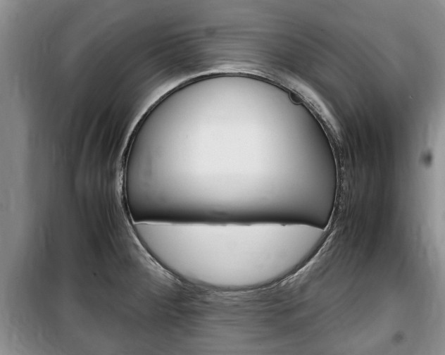 X0000100351284200806060752