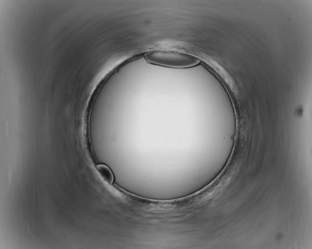 X0000100351285200806060751