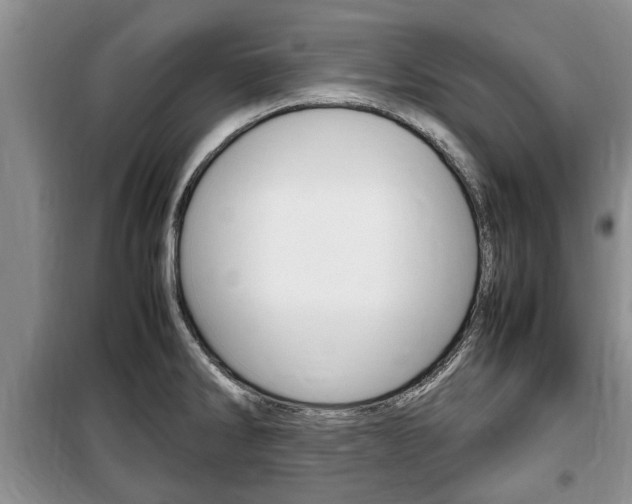 X0000100351286200806060751