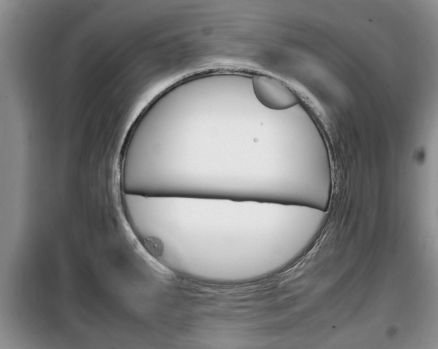 X0000100351287200806060751