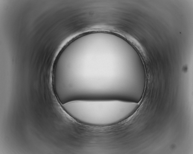 X0000100351288200806060751