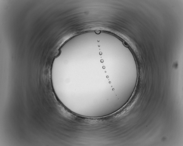 X0000100351289200806060751