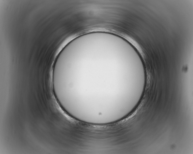 X0000100351290200806060751