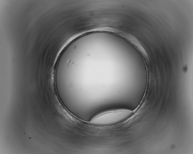 X0000100351292200806060751