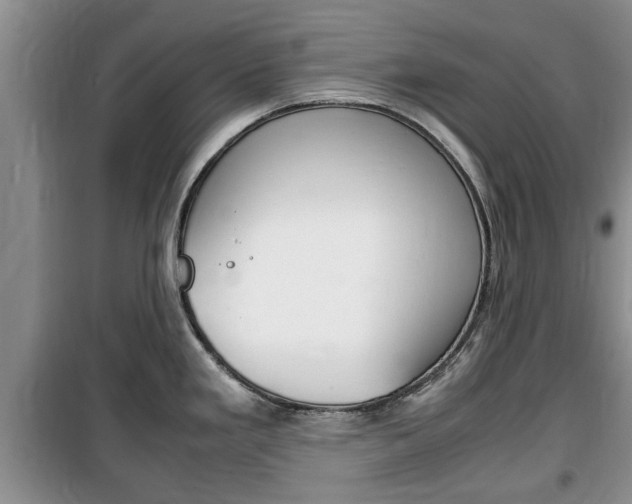 X0000100351293200806060751