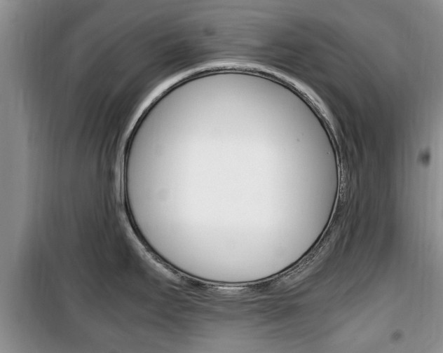 X0000100351295200806060751