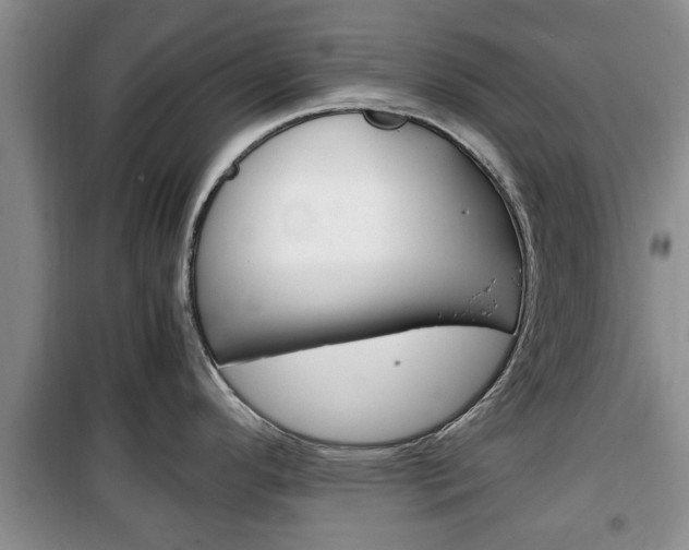 X0000100351296200806060751