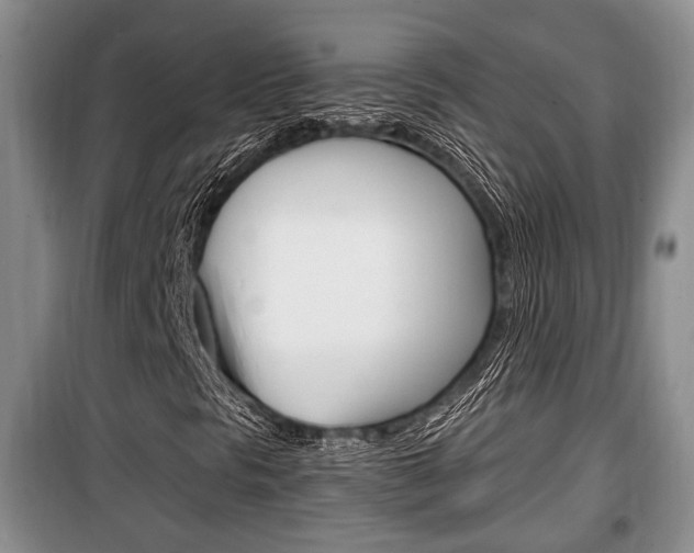 X0000100351297200806060751