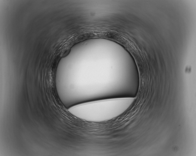 X0000100351298200806060751