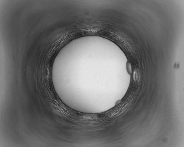 X0000100351299200806060751