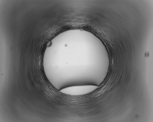X0000100351300200806060751