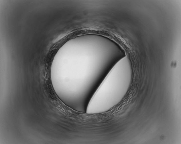 X0000100351303200806060751
