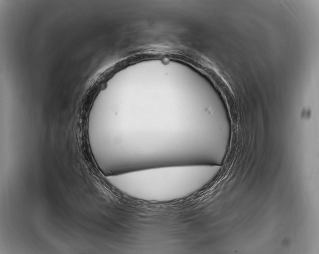 X0000100351304200806060751