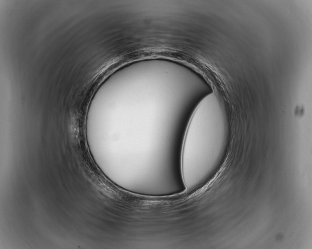 X0000100351305200806060751