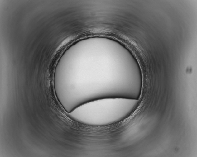 X0000100351306200806060751