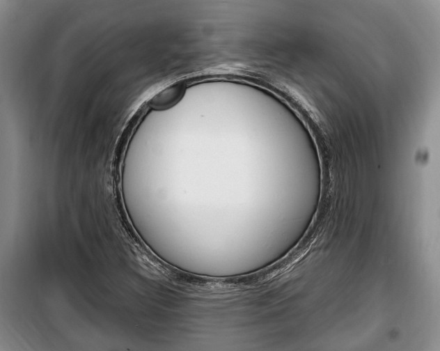 X0000100351308200806060751
