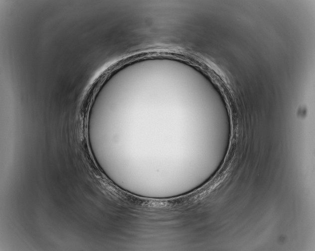 X0000100351310200806060751