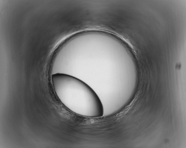 X0000100351311200806060751