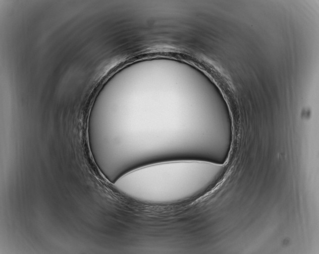 X0000100351313200806060751