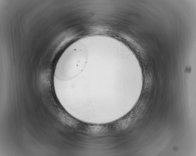 X0000100351314200806060751