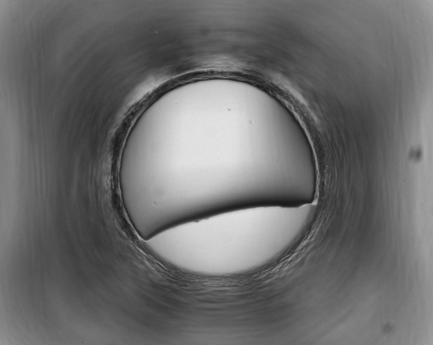 X0000100351315200806060751