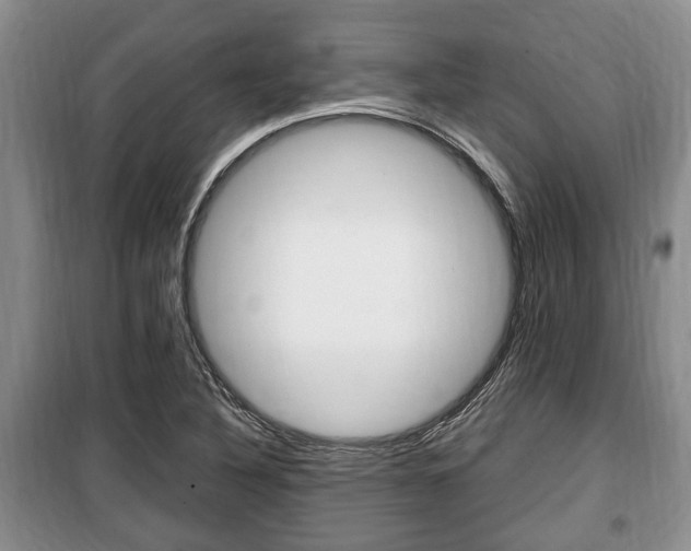 X0000100351316200806060751