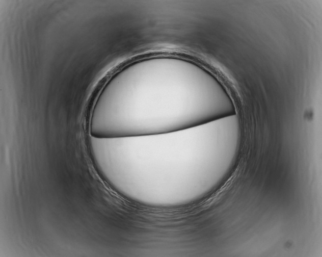 X0000100351318200806060751