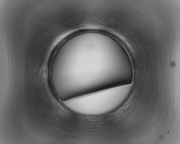X0000100351319200806060751