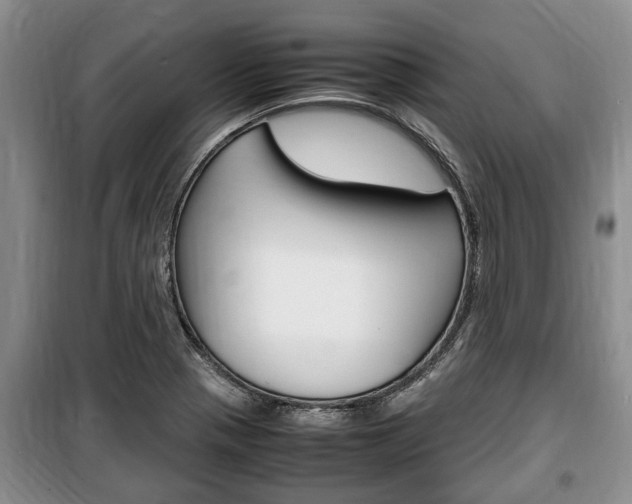 X0000100351321200806060751