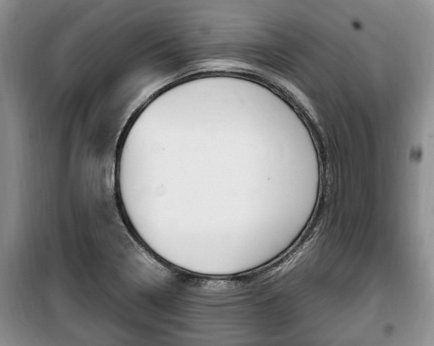 X0000100351322200806060751