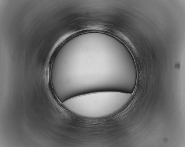 X0000100351323200806060751