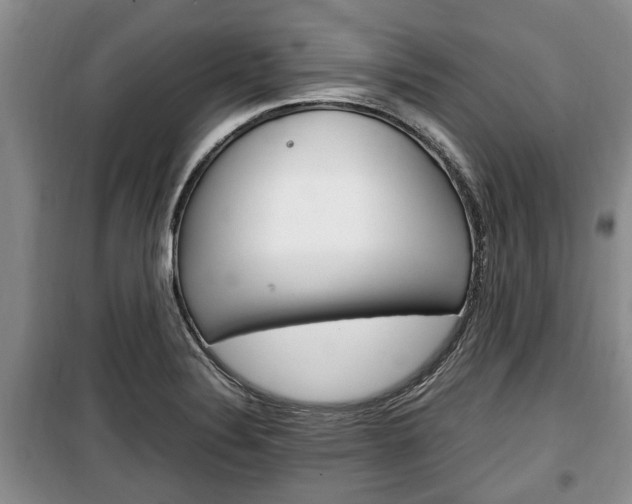 X0000100351324200806060751