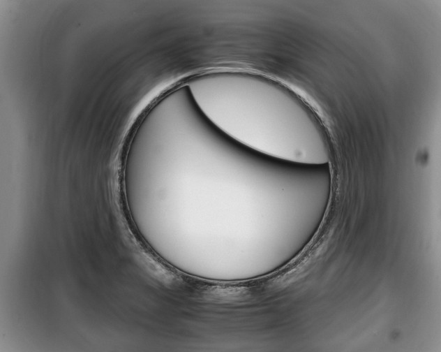 X0000100351325200806060751