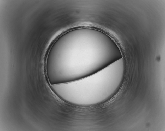 X0000100351326200806060751