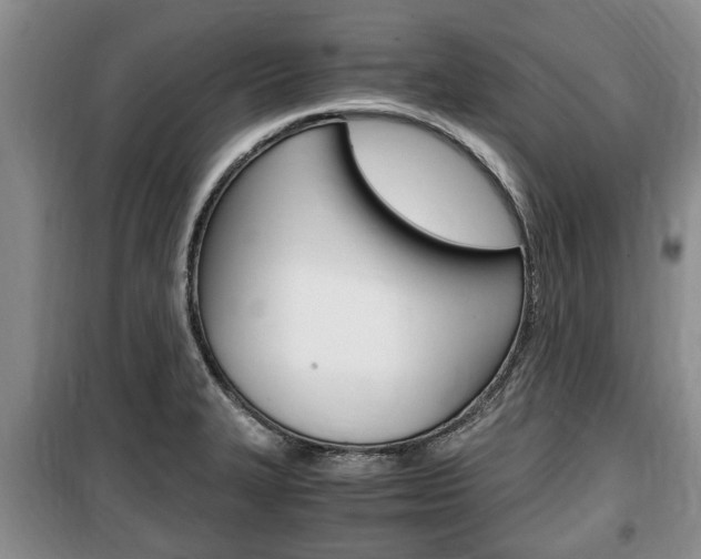 X0000100351327200806060751