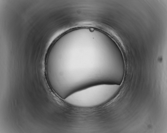 X0000100351328200806060751