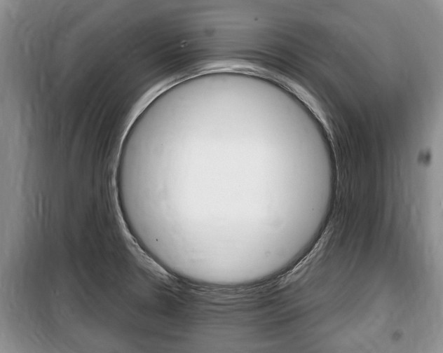 X0000100351330200806060751