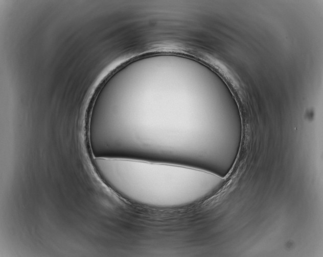 X0000100351331200806060751