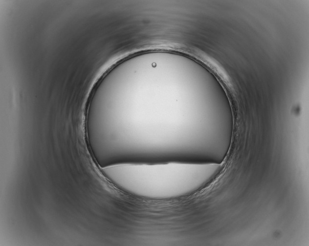 X0000100351332200806060751