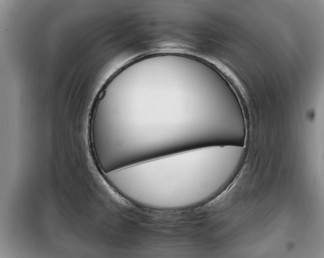 X0000100351333200806060751