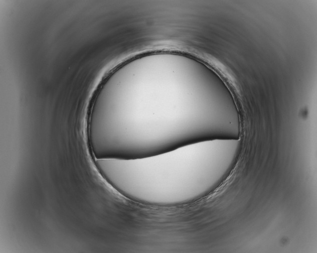 X0000100351334200806060751