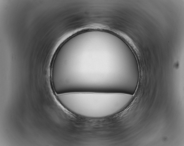 X0000100351335200806060751