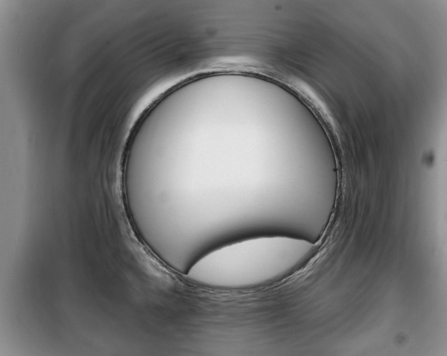 X0000100351336200806060751