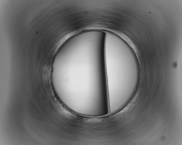 X0000100351337200806060751