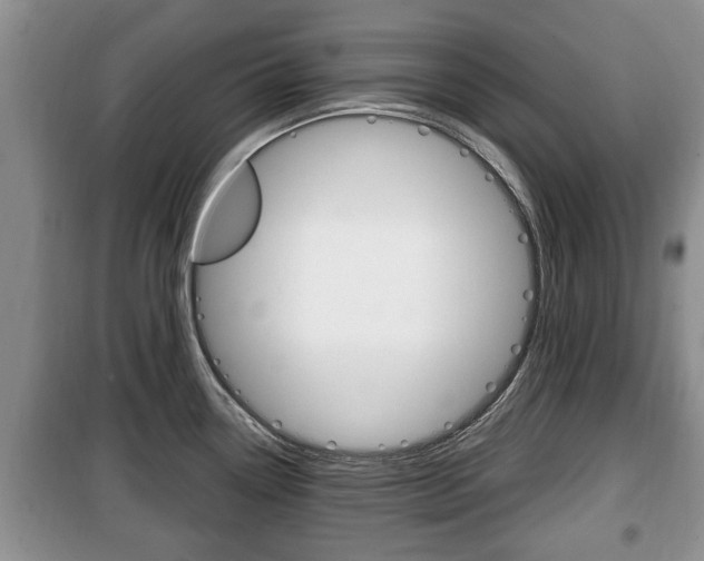 X0000100351338200806060751
