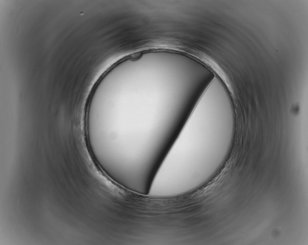 X0000100351339200806060751