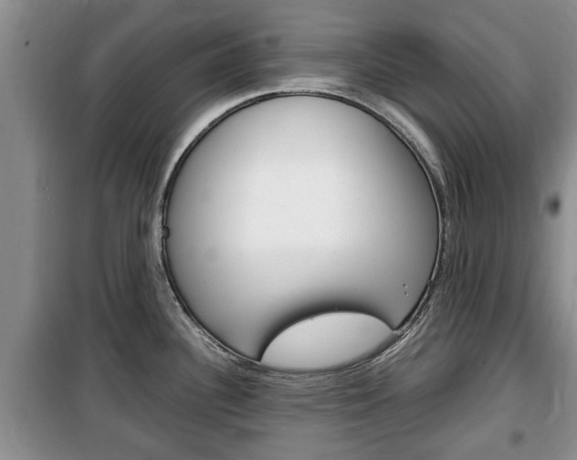 X0000100351340200806060751