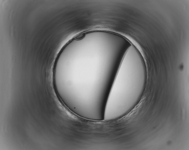 X0000100351341200806060751