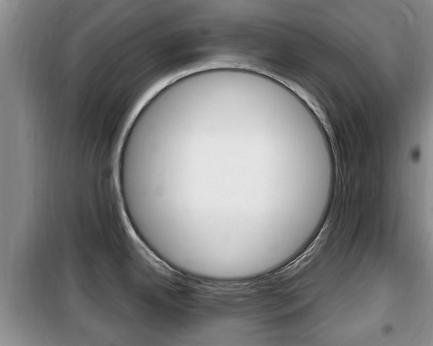 X0000100351342200806060751
